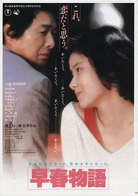 雾港回声高清电影免费在线观看